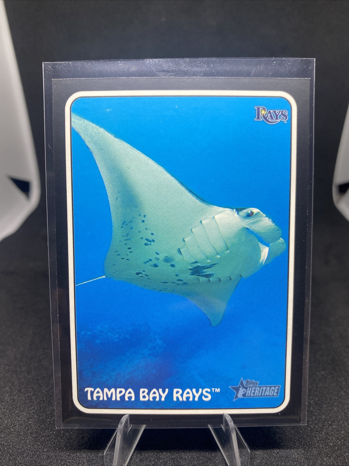 2024 Topps Heritage Baseball 1975 Zoo's Who Stick-On Tampa Bay Rays 75Z-2